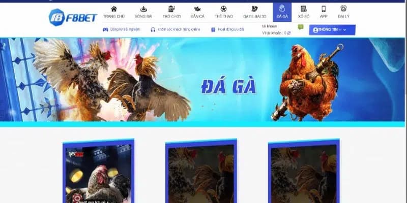 Cách thức tham gia và đặt cược đá gà F8bet