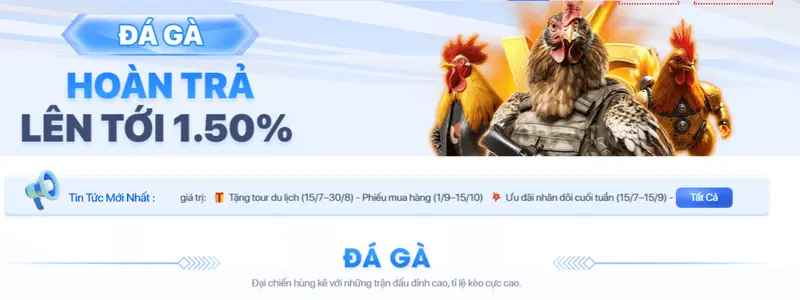 Đá gà trực tiếp tại nhà cái F8bet hình ảnh sắc nét
